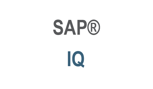 SAP IQ
